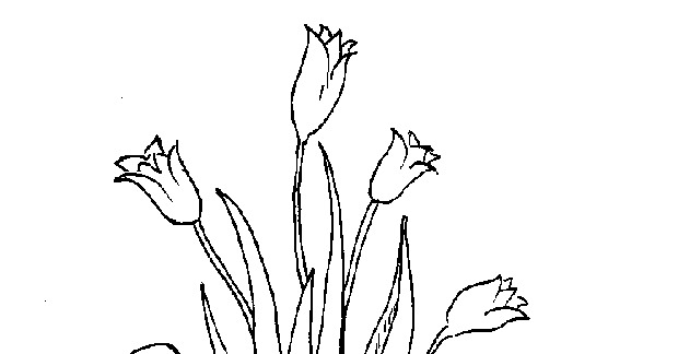 Coloriage d'une tulipe dans un environnement naturel
