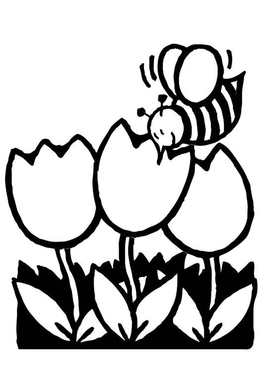 Coloriage d'une tulipe en pleine floraison avec des feuilles