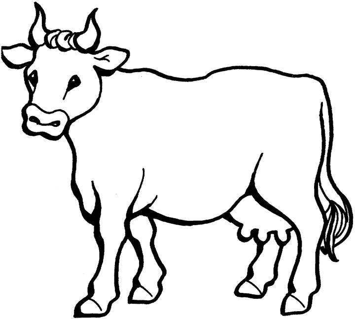 Coloriage d'une vache paisible dans un champ verdoyant