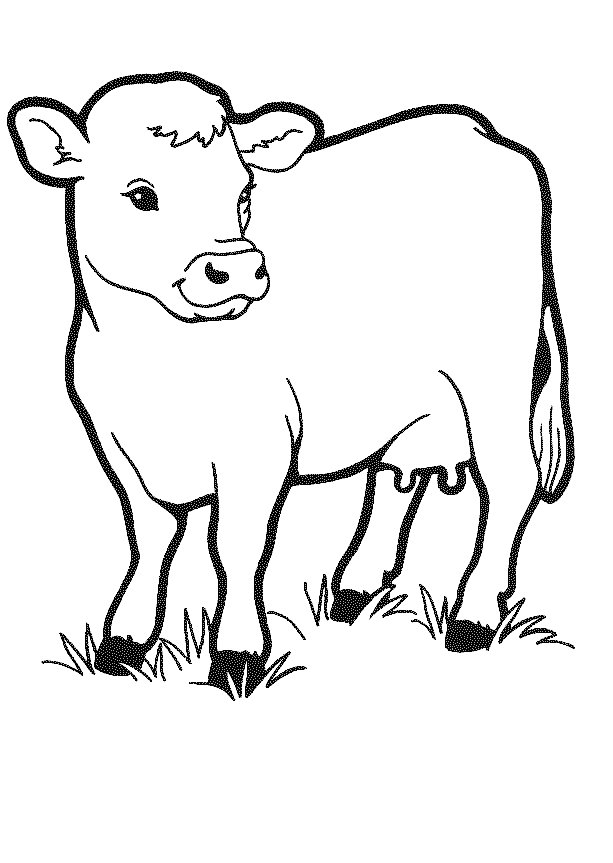 Coloriage d'une vache paisible dans un champ verdoyant