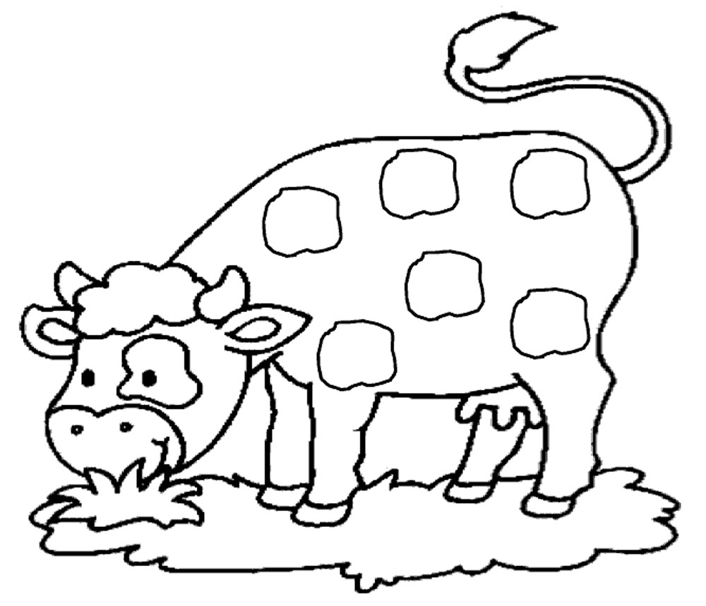 Vache paisible dans un champ verdoyant