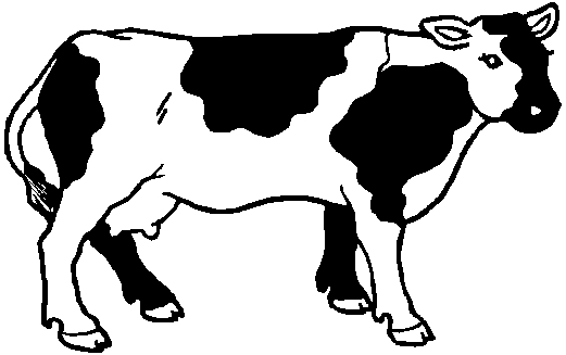 Vache joyeuse dans un champ verdoyant
