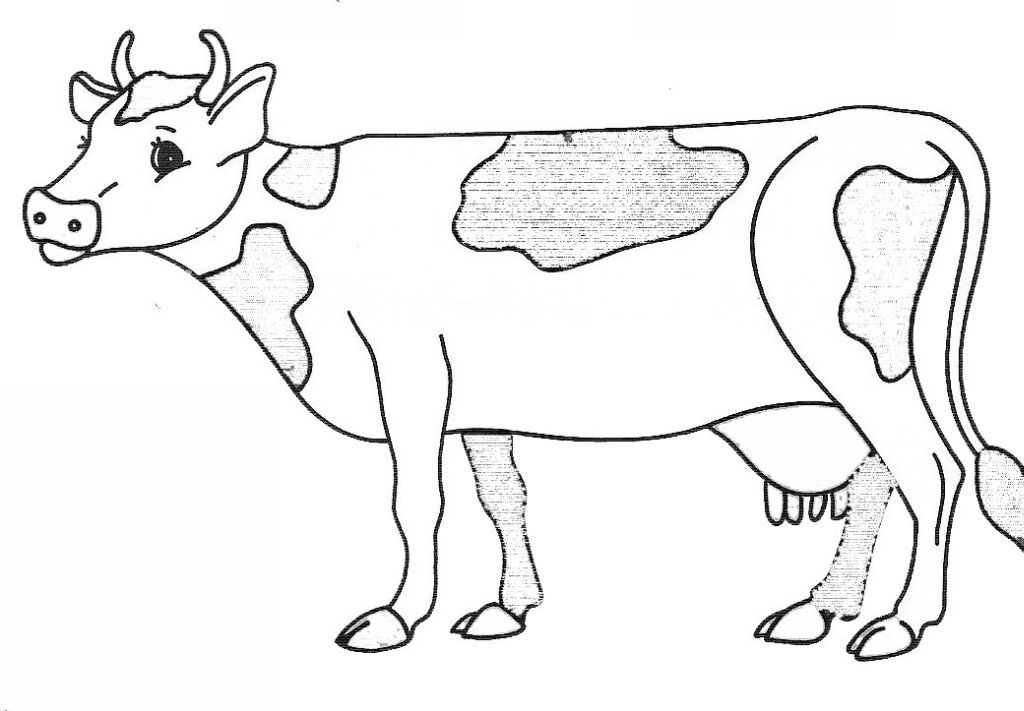Coloriage d'une vache dans un champ verdoyant