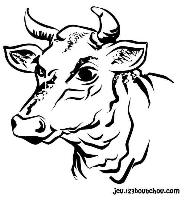 Coloriage d'une vache paisible dans un champ verdoyant