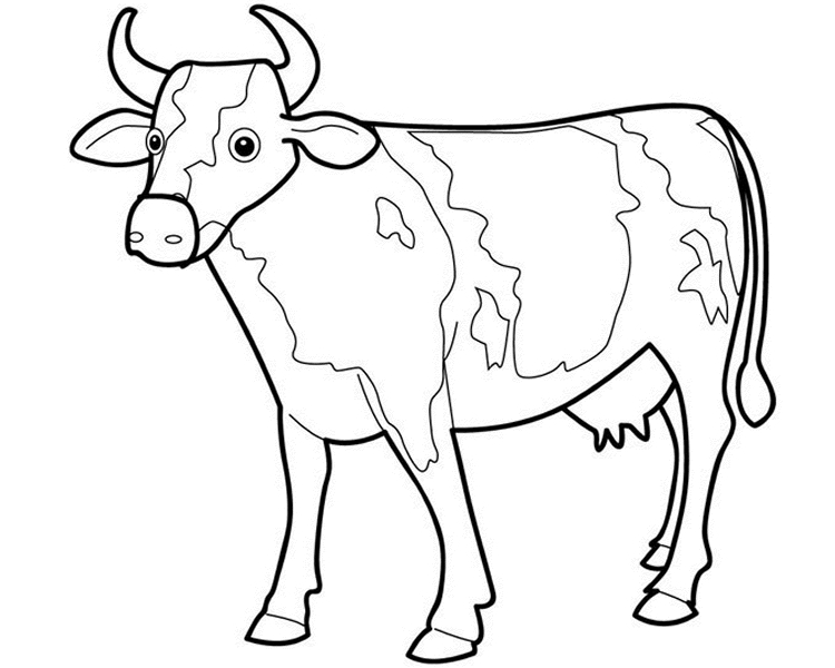 Vache paisible dans un champ verdoyant avec des fleurs