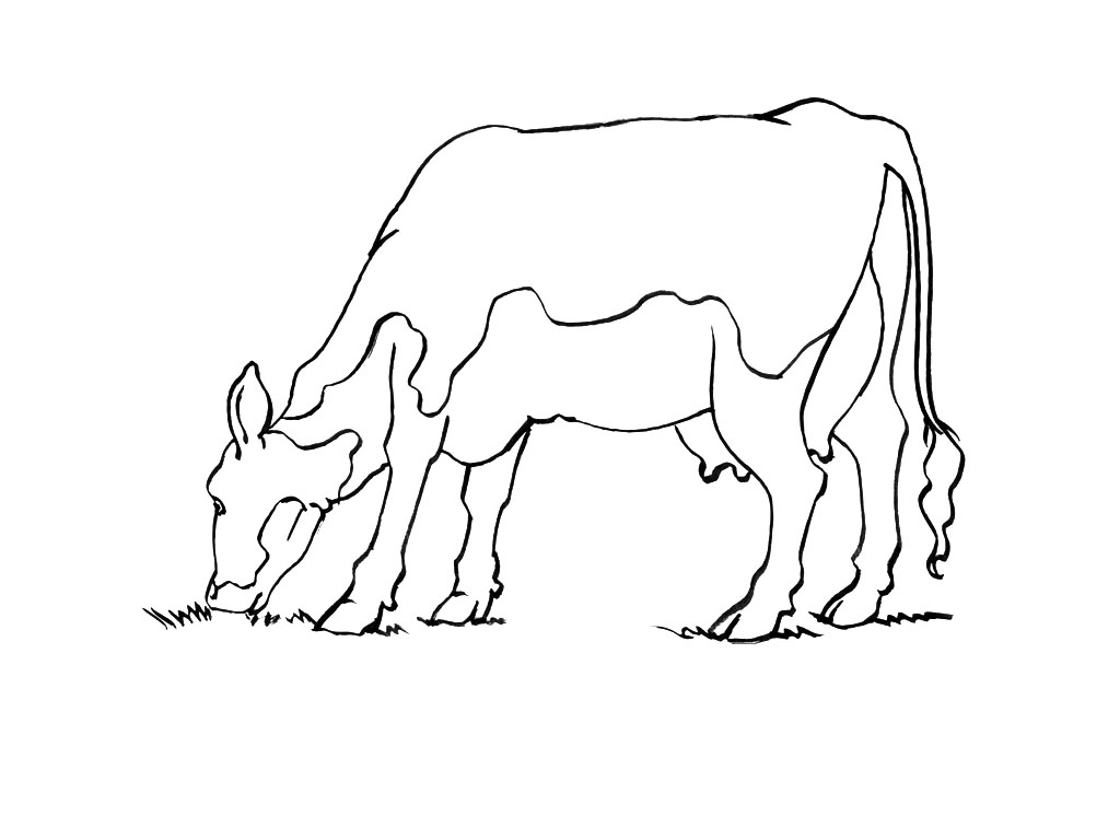 Vache paisible dans un pré verdoyant