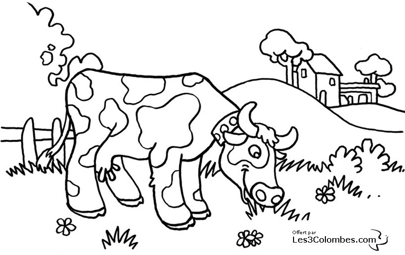 Coloriage d'une vache paisible dans un champ