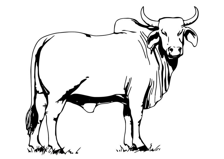 Coloriage d'une vache paisible dans un champ verdoyant