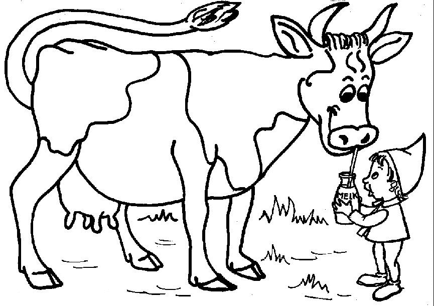 Vache paisible dans un champ verdoyant