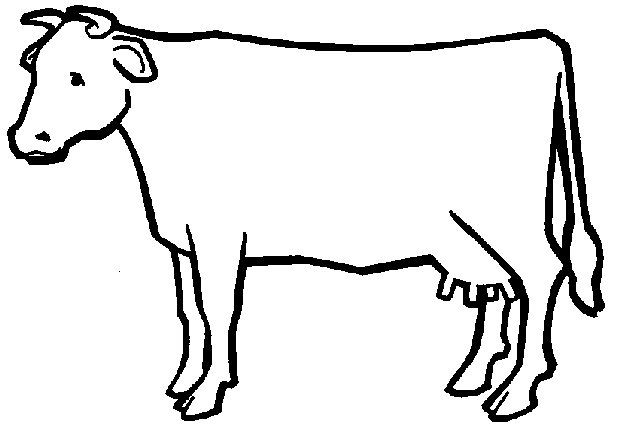 Vache paisible dans un champ verdoyant