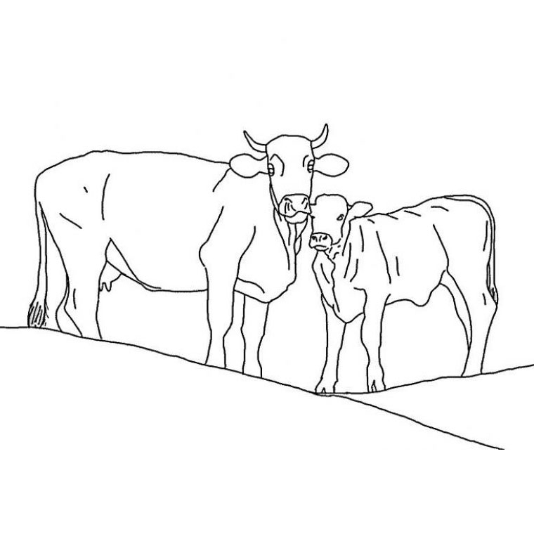 Coloriage d'une vache paisible dans un champ fleuri