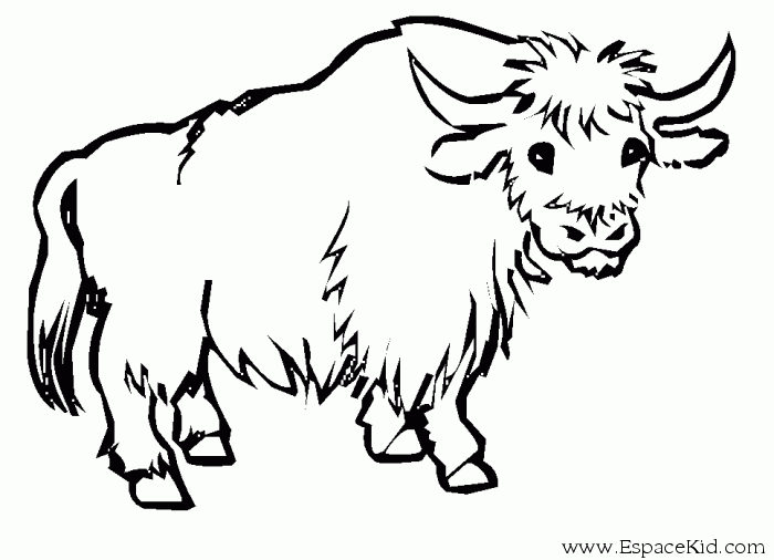 Coloriage d'une vache paisible dans un champ verdoyant
