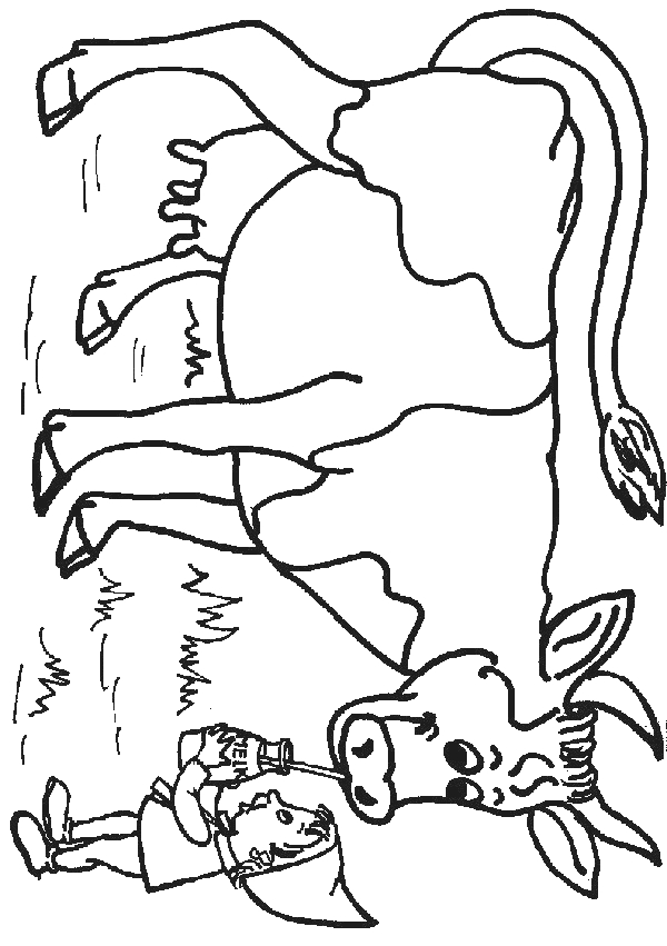 Vache paisible sur fond de prairie