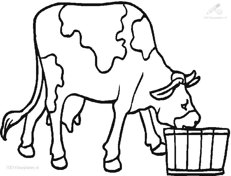Coloriage d'une vache paisible dans un champ