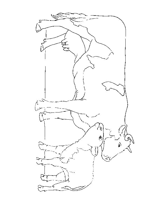 Coloriage d'une vache paisible dans un champ verdoyant