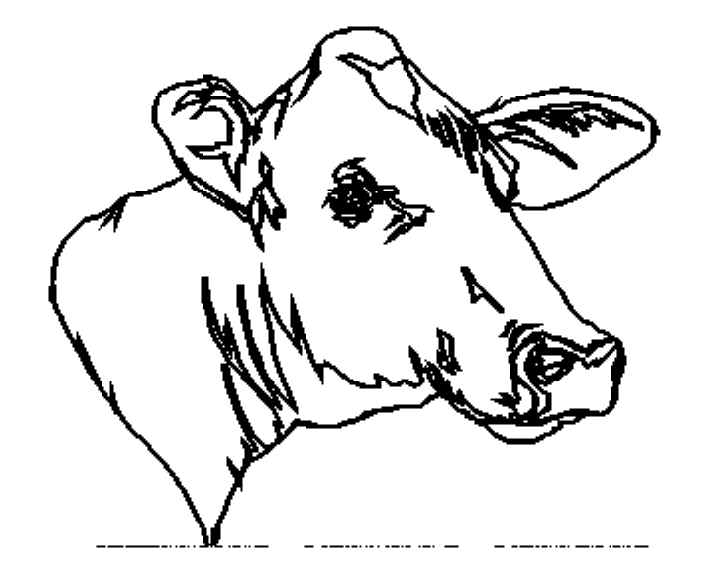 Coloriage d'une vache paisible dans un champ verdoyant