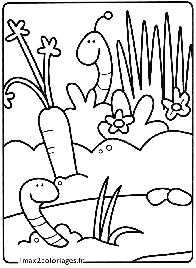 Coloriage d'un ver de terre sur un fond simple