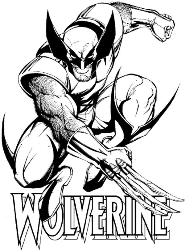 Wolverine en pleine action dans une pose dynamique