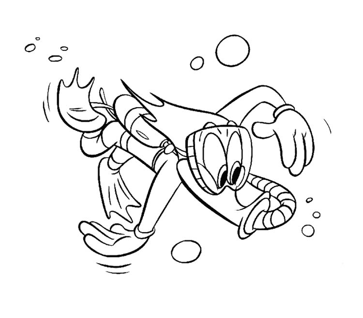 Woody Woodpecker en pleine action sur un arbre