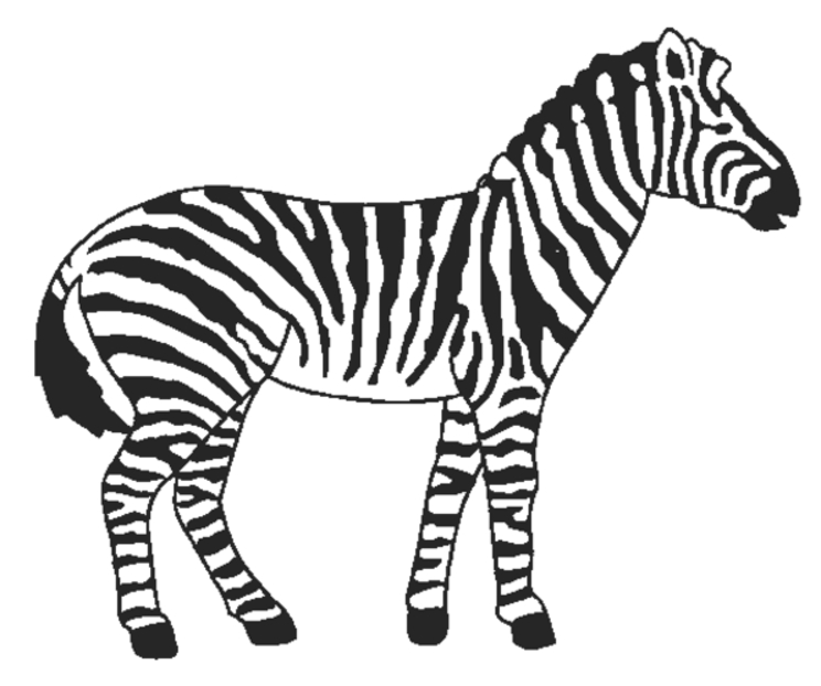 Un zèbre se promenant dans la savane