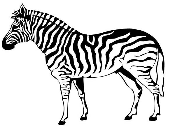 Coloriage d'une zèbre dans un paysage naturel
