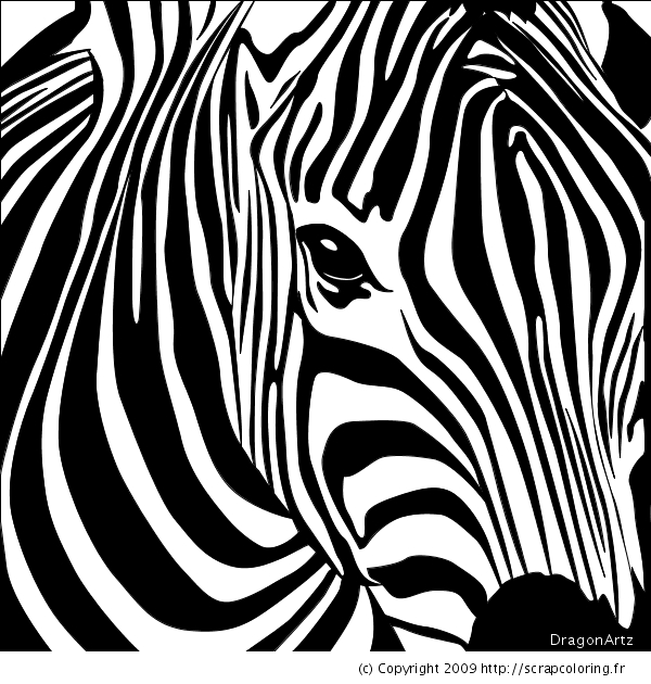 Un zèbre joyeux se tenant sous un arbre dans la savane