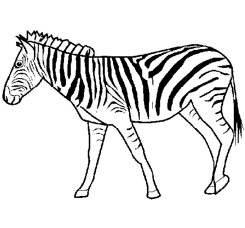 Coloriage d'une zèbre paisible dans son habitat naturel Coloriage d'une zèbre paisible dans son habitat naturel