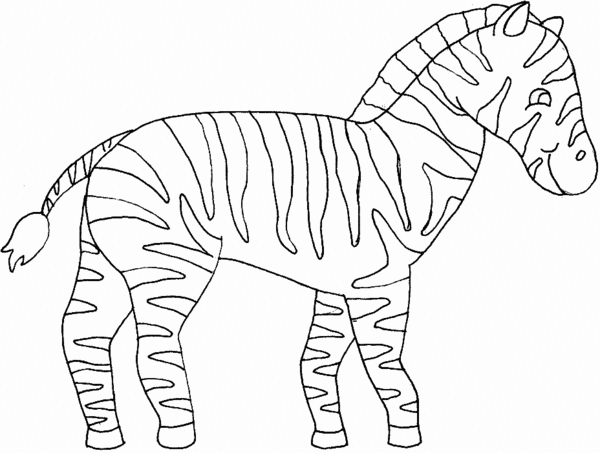 Un zèbre élégant se reposant dans la savane