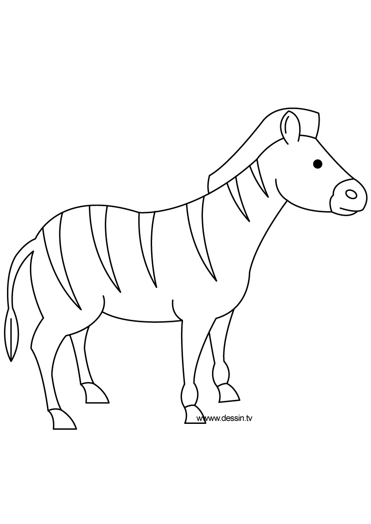 Un zèbre paisible se reposant dans la savane