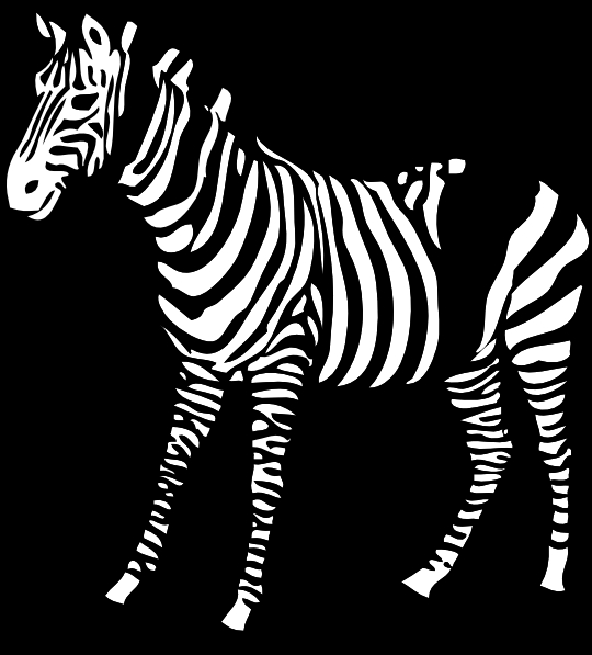 Un zèbre paisible se tenant dans la savane