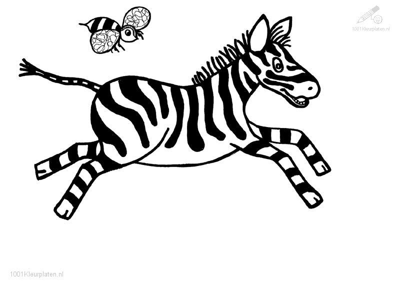 Coloriage d'une zèbre se tenant dans la savane