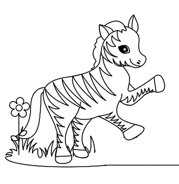 Coloriage d'une zèbre paisible dans la savane