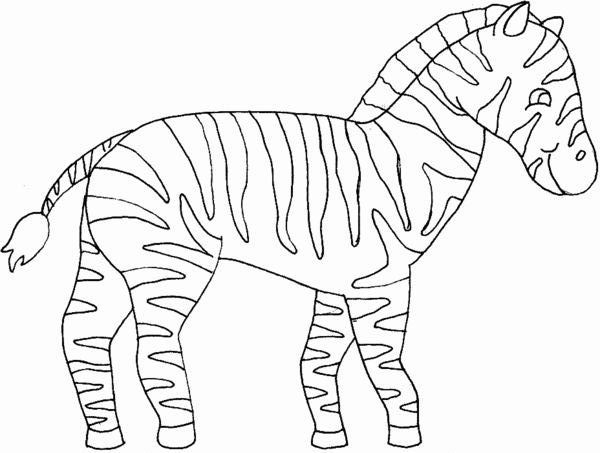 Un zèbre en pleine nature, prêt à être colorié