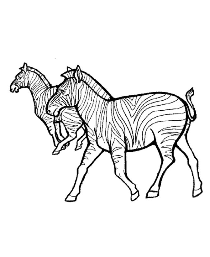 Coloriage d'un zèbre dans son habitat naturel
