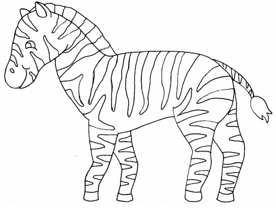 Un zèbre en pleine nature, prêt à être colorié