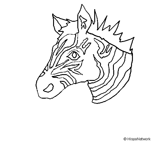 Coloriage d'un zèbre dans un décor de savane