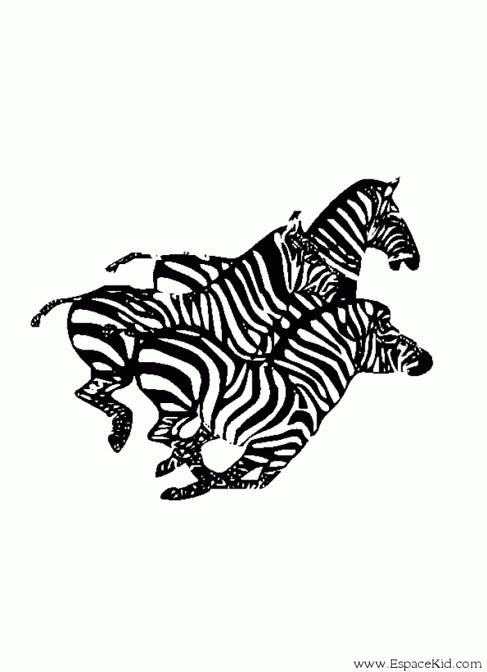 Un zèbre paisiblement debout sur un fond de savane
