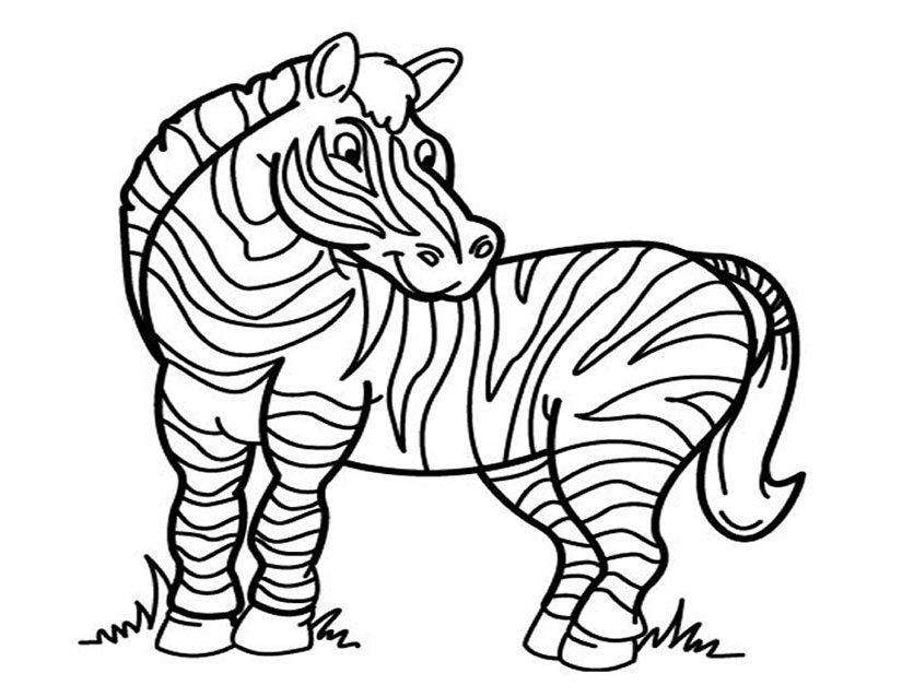 Un zèbre paisible se reposant dans la savane
