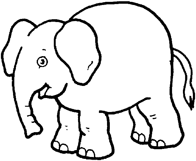 Un éléphant et un tigre au zoo entourés de verdure