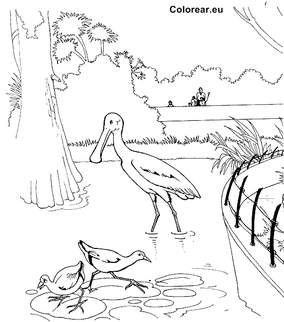Coloriage d'animaux au zoo en pleine activité