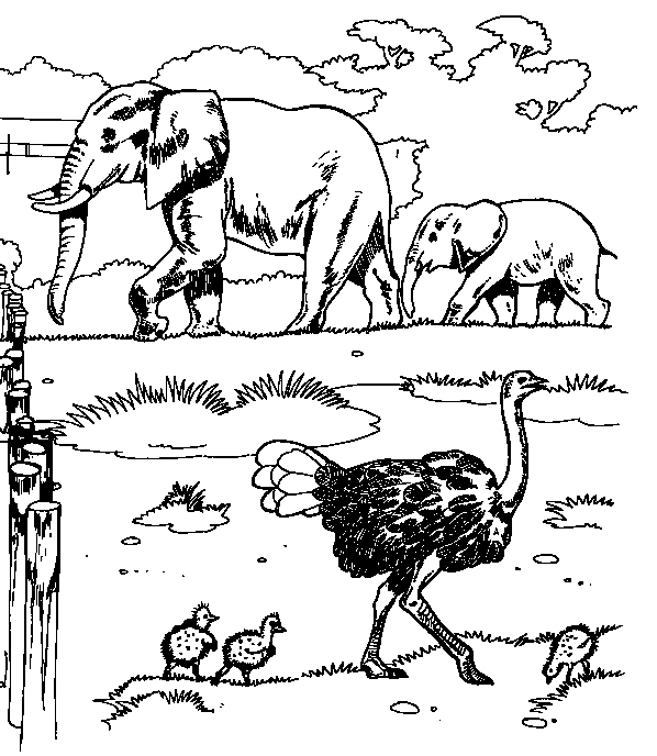 Un zoo animé avec des animaux en pleine activité
