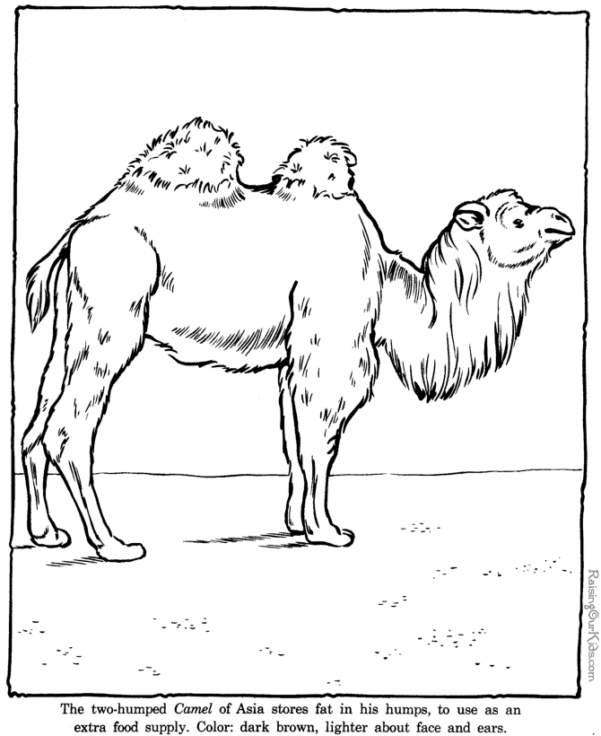 Scène de zoo avec un singe et un lion entourés de végétation