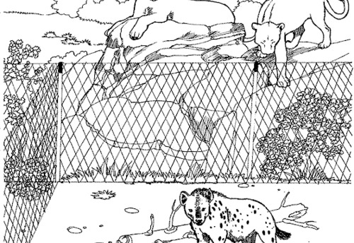 Scène animalière : un éléphant et un singe dans un zoo