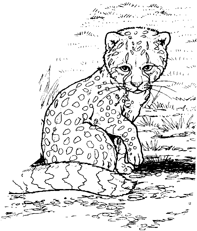 Scène de zoo avec un éléphant et un lion entourés de verdure