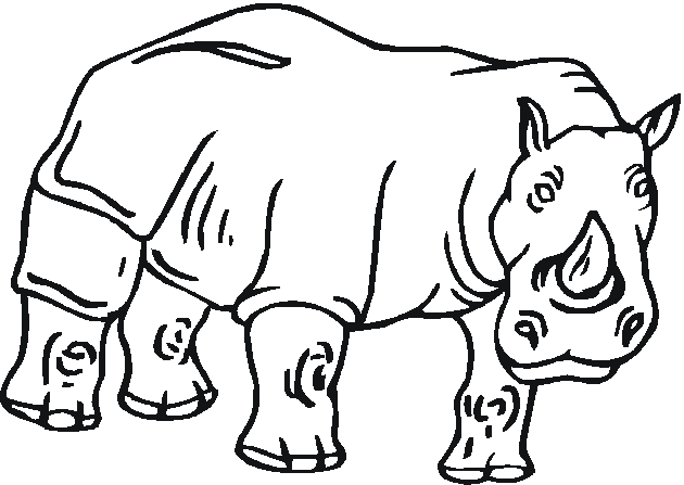 Coloriage d'animaux au zoo dans un décor naturel