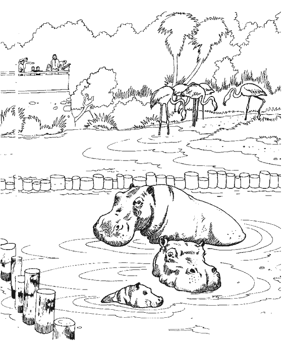 Un éléphant au zoo entouré d'arbres et de végétation luxuriante