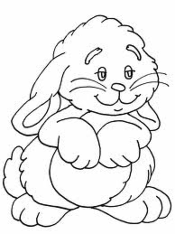 Coloriage d'animaux au zoo dans un décor naturel