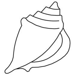 Coloriage et dessin Coquillage à imprimer