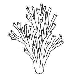 Coloriage et dessin Corail à imprimer