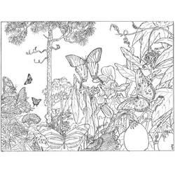 Coloriage et dessin Forêt à imprimer